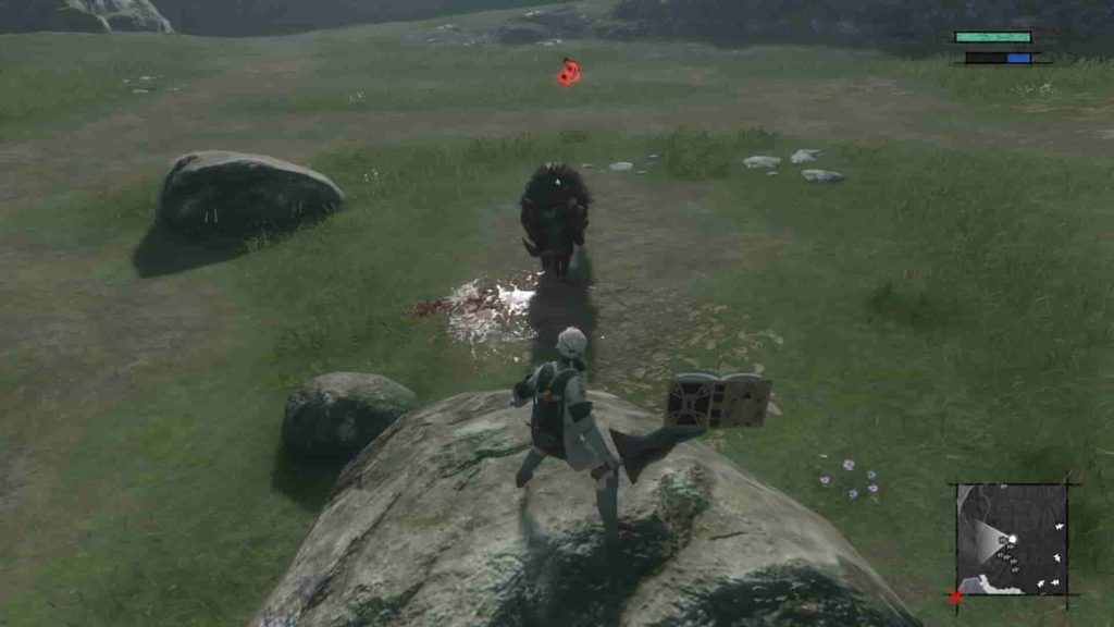 イノシシ狩りは岩の上から攻撃する